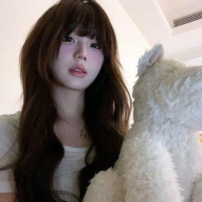 横行天下袁崇焕传国语